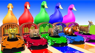 5 Giant Duck, Monkey, Cat, chicken, dog, cat, cow, Sheep, Transfiguration funny animal 2023