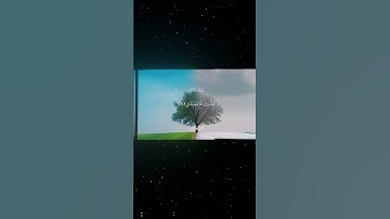 سورة عبس|1-10|القارئ:#محمد_اللحيدان #قران #quran #راحة_نفسية#قران_كريم #تلاوة_هادئة#آية#تلاوة_خاشعة