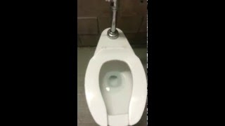 Crane Plumbing Flushometer Toilet At Shubie Park