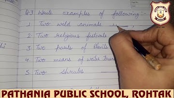 Pathania World Campus- Class 1-Evs