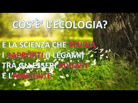 Vídeo: Què és L’ecologia Del Llenguatge
