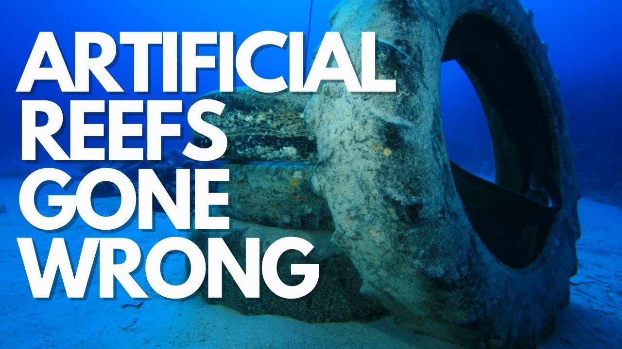 Not All Artificial Reefs Are Ocean Positive
