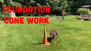 Shape Train Send to Cone for Dog Agility and Obedience Foundation