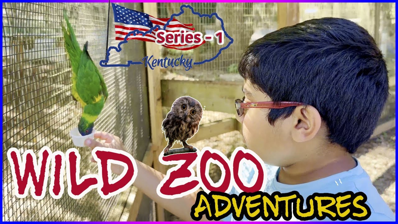 Kentucky Wild Wonders Petting Zoo Onyx Cave YouTube