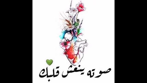قرآن كريم بصوت القارئ طارق محمد 💙🔊 أجمل حالات واتس اب دينية مقاطع دينية قصيرة مقاطع انستقرام دينية