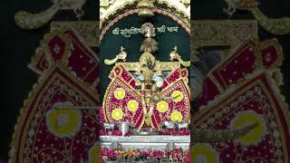 Jai shree sawaraya ji set aaj date 16/06/2026 k darsan