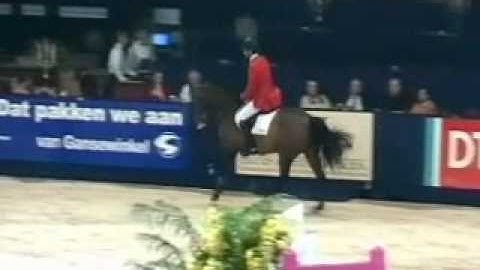 Greyhound Data Video