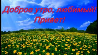 Доброе Утро, Любимый! - Музыкальная Открытка  Для Любимого