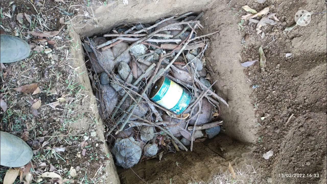 Planting A Tree The Ellen White Method YouTube