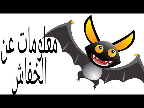 معلومات عن الخفاش للصف الرابع الابتدائي كل ما يخص الخفاش