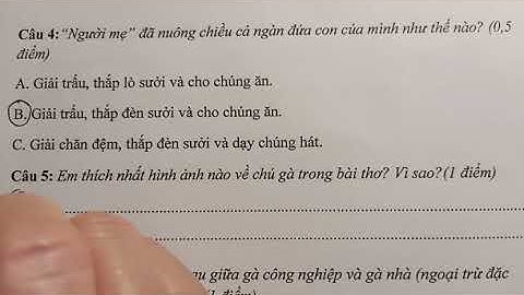 Đề thi cuối học kỳ II môn Tiếng Việt lớp 3 sách KNTTVCS