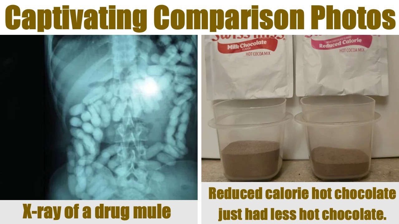 Captivating Comparison Photos That Will Change The Way You Look At Things