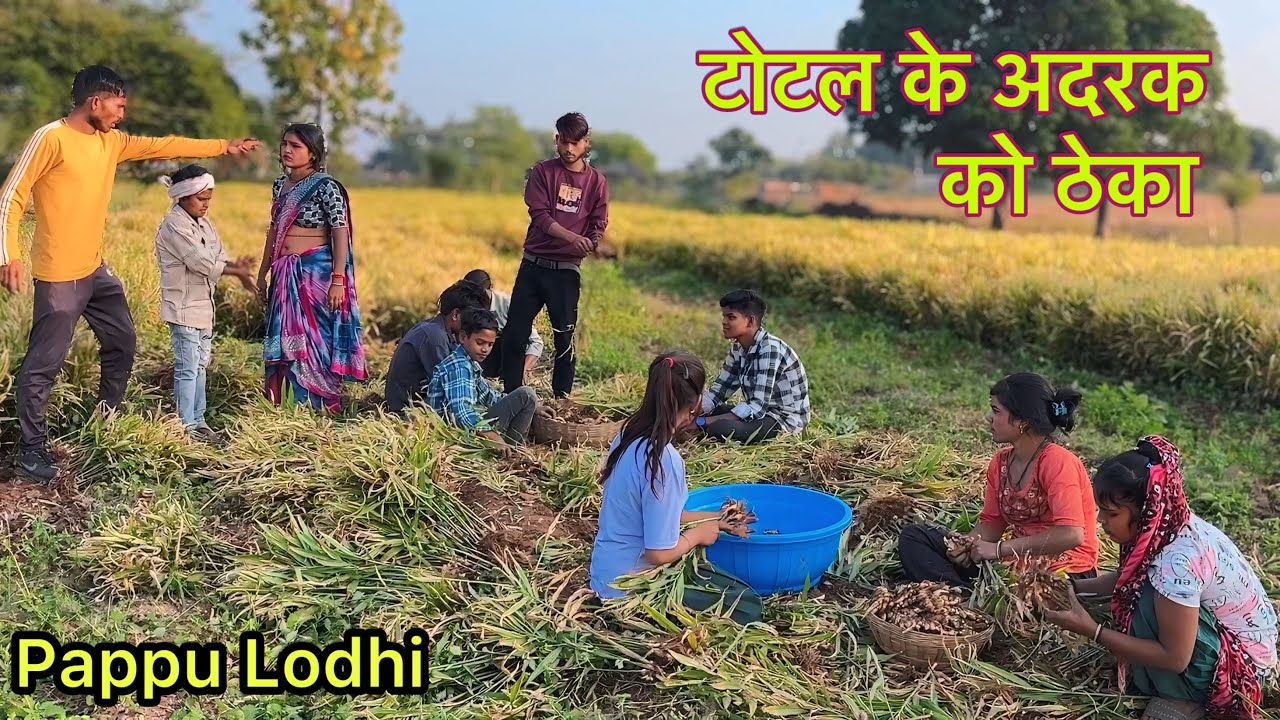 टोटल के अदरक को ठेका !! Total Ke Adrak Ko Theka !! Pappu Ki Comedy !! Total Ki Comedy !! Pappu video