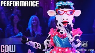 Cow Performs \\