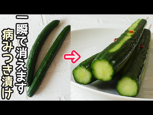 きゅうりの一本漬けNEW!