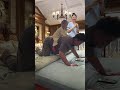 🐎😂 Funny baby rides on daddy’s back