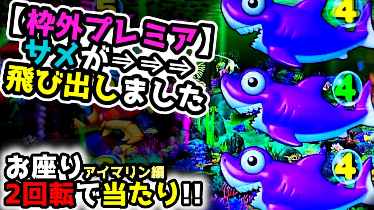 お座り2回転目
