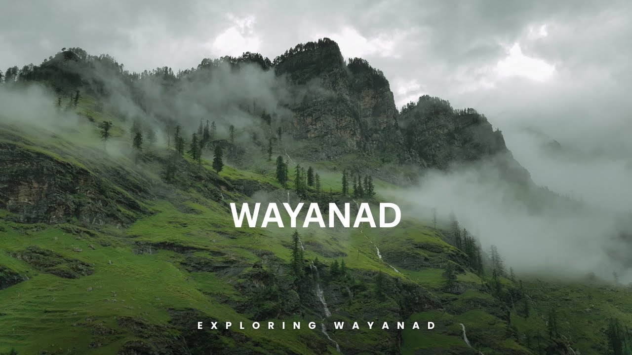 വയനാട്ടിൽ എന്തൊക്കെ കാണാൻ ഉള്ളത്🫢 @Twintalesash 