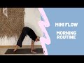 Miniflow  morning routine