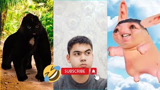 Best Abdurakhm Funny Try Not To Laugh Challenge Compilation 2024 Part 1