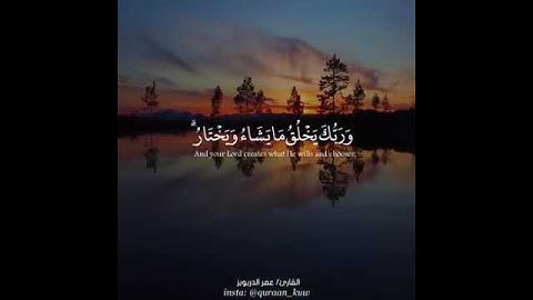سورة القصص بتلاوة القارئ عمر الدربوبز