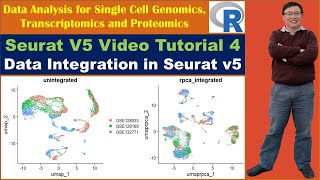 Seurat V5 Video Tutorial 4 : Data Integration in Seurat v5