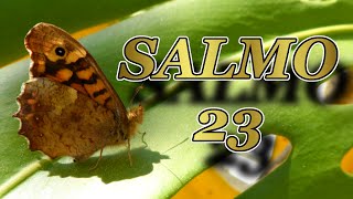 Salmo 23