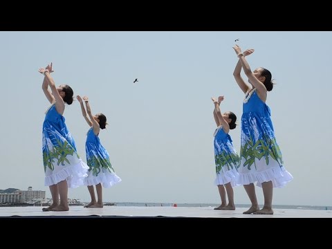 ハラウ フラ オ ナー カマリイ オ カ ラー　vol.4　鎌倉ビーチフェスタ 2016　由比ヶ浜海岸