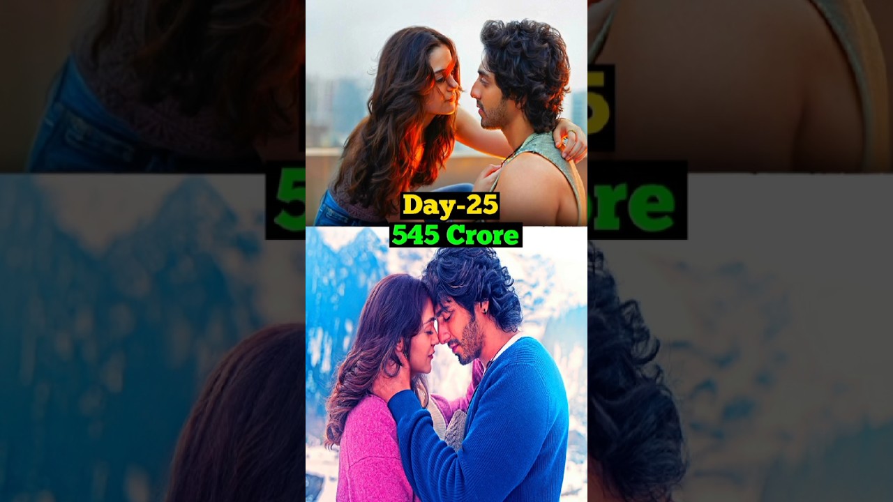 Saiyaara Collection Day 25