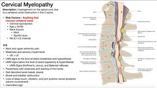 Cervical Myelopathy | Presentation, Risk Factors, & Signs/Symptoms