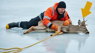 I Rescued a Deer Trapped on Thin Ice... Seconds From Death