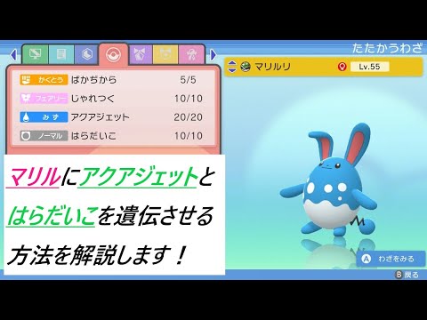 ポケモン ダイパリメイク マリルにアクアジェットとはらだいこを遺伝する方法 ポケモンbdsp Youtube