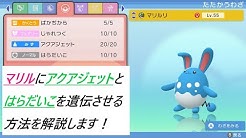 Tkrain Is Pokemon Youtube Tkrain Is Pokemon Youtube