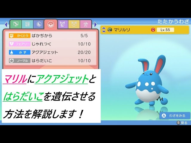 ポケモン ダイパリメイク マリルにアクアジェットとはらだいこを遺伝する方法 ポケモンbdsp Youtube