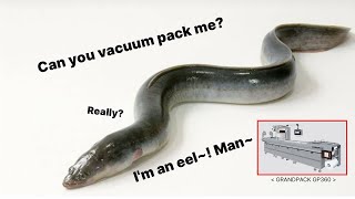 [GRANDPACK] GP460 Special type.(Eel packaging)