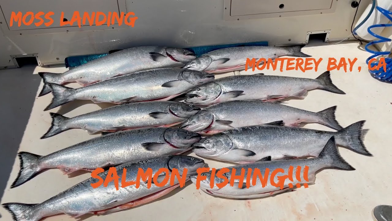 Moss landing, Monterey Bay, CA salmon Fishing 