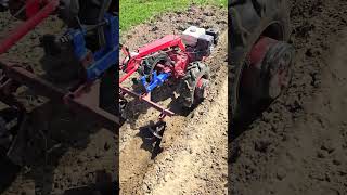 Сильный мотоблок #farming #agriculture
