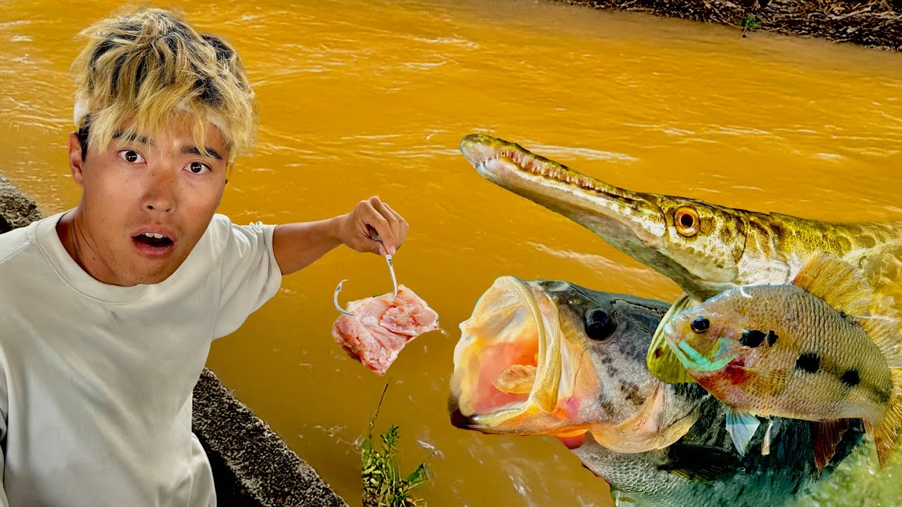 アメリカのとんでもない生態系の川に「もも肉」投げたら、まさかの魚が. . .!!?