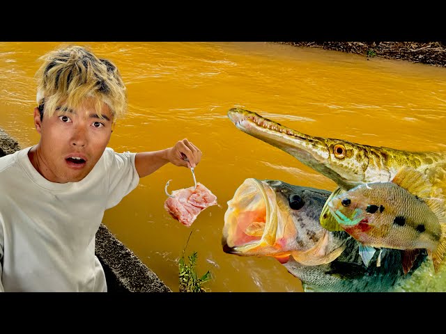 I Caught Monster Bass By Chicken Thigh? - YouTube