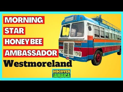 JAMAICAN OLD TIME BUSES FROM WESTMORELAND - MORNING STAR, AMBASSADOR, SOS, HONEY BEE, RED ROSE.