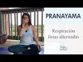 Respiración de las Fosas Alternadas - Nadi Shodhana - Pranayama - Yoga con Adriana.