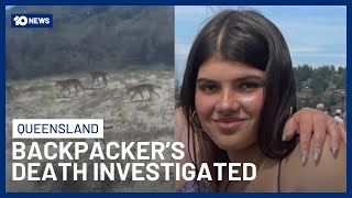 Australian Police Investigate Whether Canadian Backpacker Was Killed By Dingoes 10 News