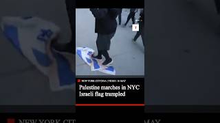 Thousands Flood New York Streets on Nakba Day