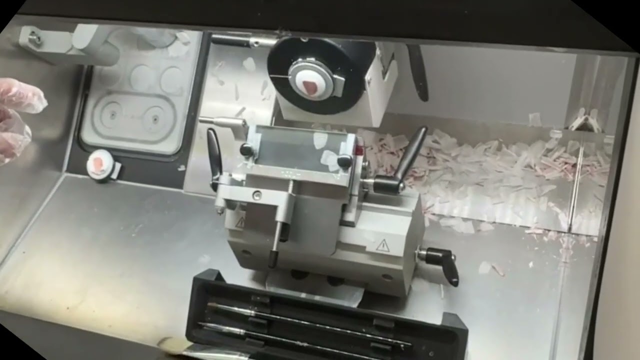 Wonderful use of anti-roll plate: Thyroid tissue sections