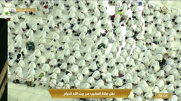 صلاة المغرب الاثنين 30-5-1443هـ الشيخ فيصل غزاوي -  سورة البينة
