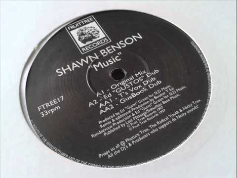 Shawn Benson - Music (Booker T's Vox Dub)