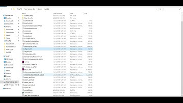 RAGE 2 DLCs Activation fix for PC