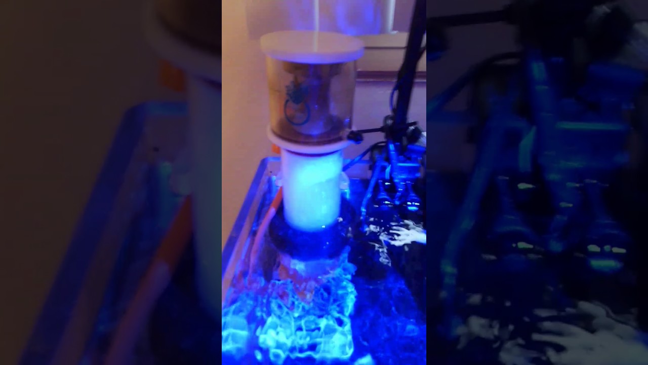 coralbox s150 nano skimmer youtube