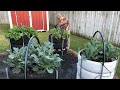 How to Build a Raised Bed Garden Out of Tires For Backyard Gardening