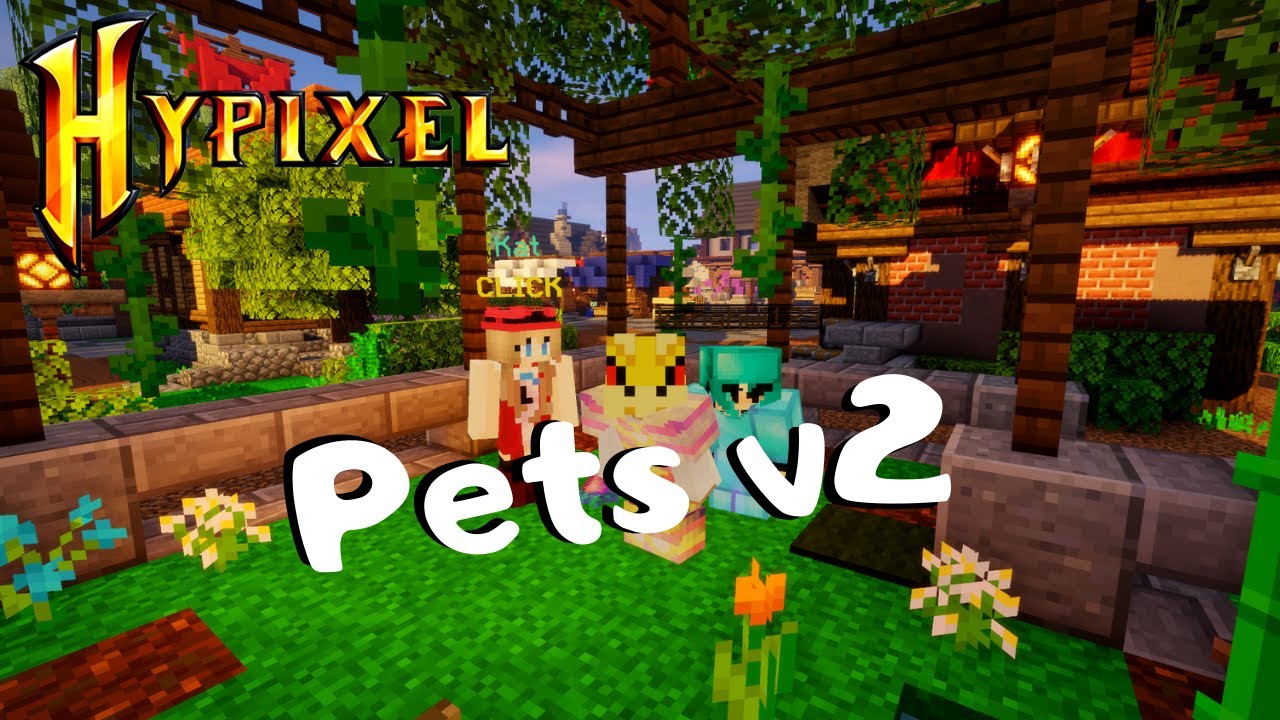 Hypixel: Skyblock- PETS v2 UPDATE!! - YouTube